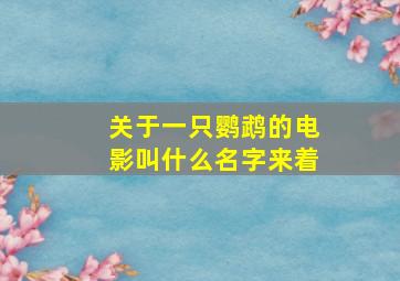 关于一只鹦鹉的电影叫什么名字来着