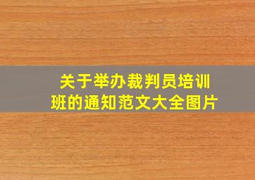 关于举办裁判员培训班的通知范文大全图片