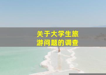 关于大学生旅游问题的调查