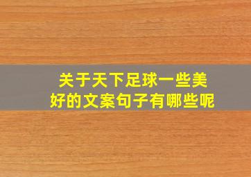 关于天下足球一些美好的文案句子有哪些呢