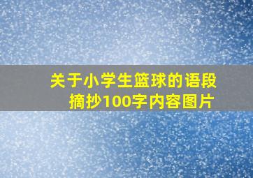 关于小学生篮球的语段摘抄100字内容图片