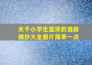 关于小学生篮球的语段摘抄大全图片简单一点