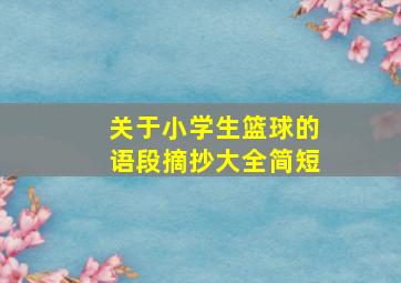 关于小学生篮球的语段摘抄大全简短