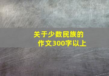 关于少数民族的作文300字以上