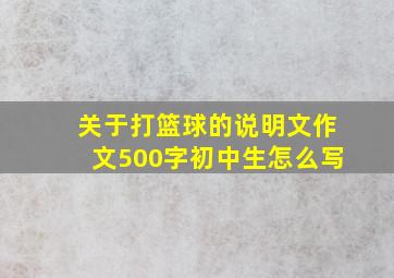 关于打篮球的说明文作文500字初中生怎么写