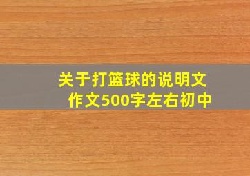 关于打篮球的说明文作文500字左右初中