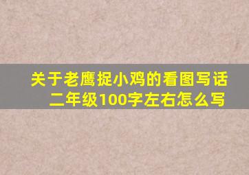 关于老鹰捉小鸡的看图写话二年级100字左右怎么写