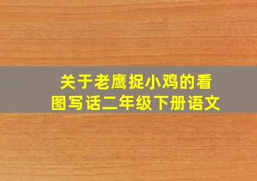 关于老鹰捉小鸡的看图写话二年级下册语文