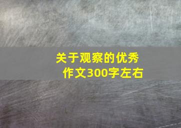 关于观察的优秀作文300字左右