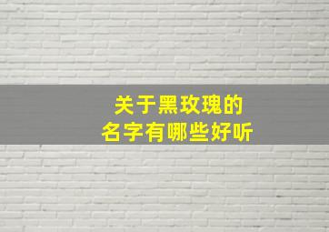 关于黑玫瑰的名字有哪些好听