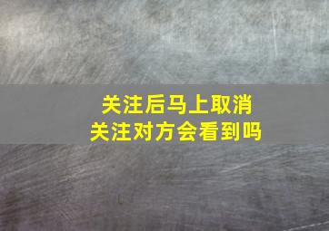 关注后马上取消关注对方会看到吗