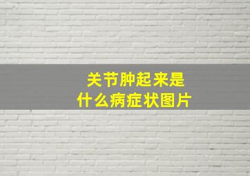 关节肿起来是什么病症状图片