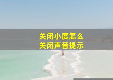 关闭小度怎么关闭声音提示