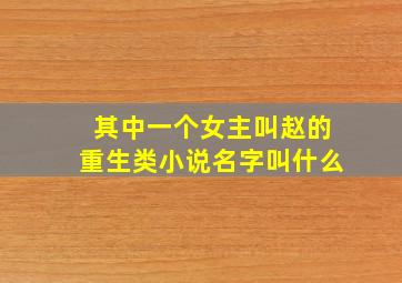 其中一个女主叫赵的重生类小说名字叫什么