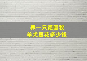 养一只德国牧羊犬要花多少钱