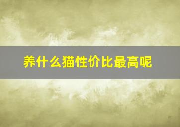 养什么猫性价比最高呢