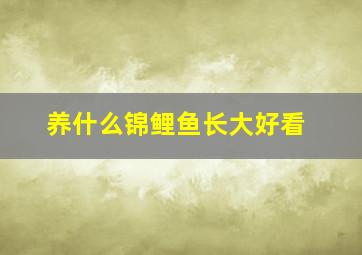 养什么锦鲤鱼长大好看