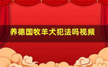 养德国牧羊犬犯法吗视频