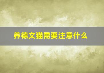 养德文猫需要注意什么