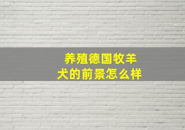 养殖德国牧羊犬的前景怎么样