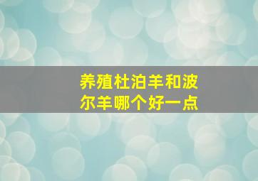 养殖杜泊羊和波尔羊哪个好一点