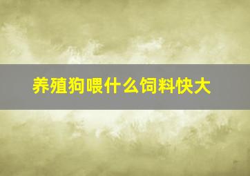 养殖狗喂什么饲料快大