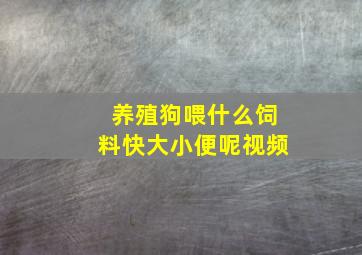 养殖狗喂什么饲料快大小便呢视频