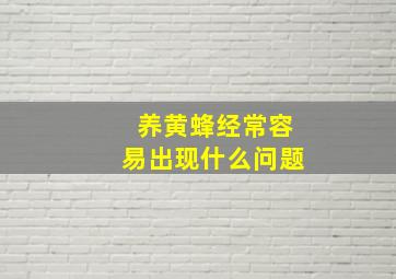 养黄蜂经常容易出现什么问题