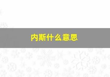 内斯什么意思