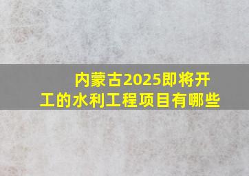 内蒙古2025即将开工的水利工程项目有哪些