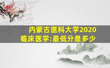 内蒙古医科大学2020临床医学:最低分是多少