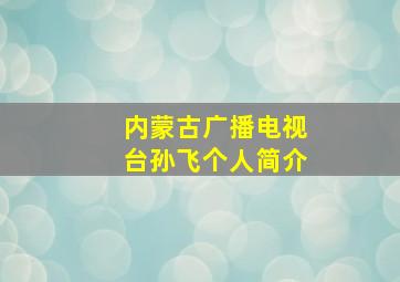 内蒙古广播电视台孙飞个人简介