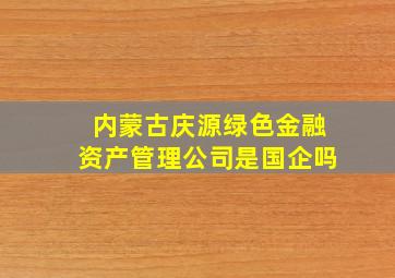 内蒙古庆源绿色金融资产管理公司是国企吗