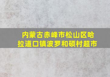 内蒙古赤峰市松山区哈拉道口镇波罗和硕村超市