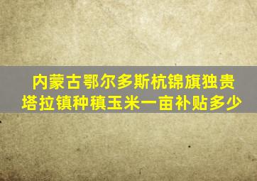 内蒙古鄂尔多斯杭锦旗独贵塔拉镇种稹玉米一亩补贴多少