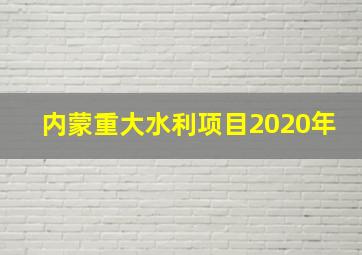 内蒙重大水利项目2020年