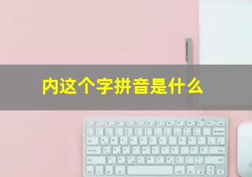 内这个字拼音是什么