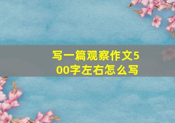 写一篇观察作文500字左右怎么写