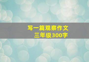 写一篇观察作文三年级300字