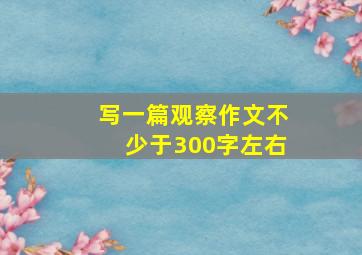 写一篇观察作文不少于300字左右