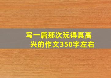 写一篇那次玩得真高兴的作文350字左右