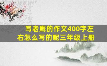 写老鹰的作文400字左右怎么写的呢三年级上册