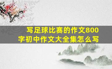 写足球比赛的作文800字初中作文大全集怎么写