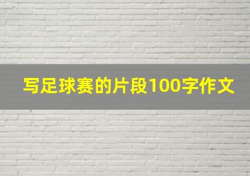 写足球赛的片段100字作文