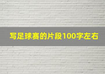 写足球赛的片段100字左右