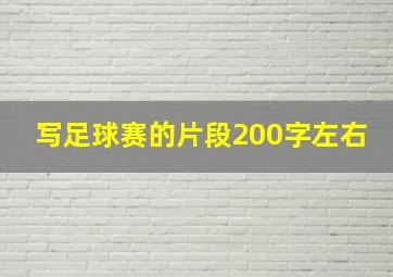 写足球赛的片段200字左右