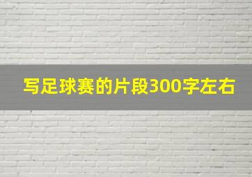 写足球赛的片段300字左右