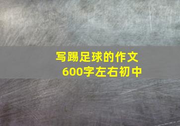 写踢足球的作文600字左右初中