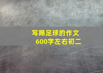 写踢足球的作文600字左右初二