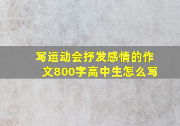 写运动会抒发感情的作文800字高中生怎么写